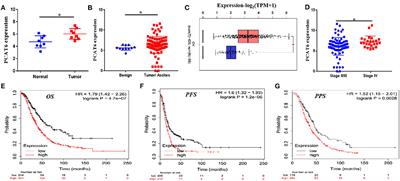 The Cancer-Testis Long Non-coding RNA PCAT6 Facilitates the Malignant Phenotype of Ovarian Cancer by Sponging miR-143-3p